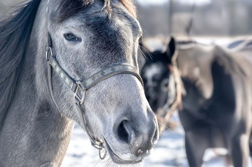 Chuvas torrenciais voltam à Espanha após tragédia com 200+ mortes