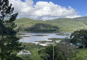 Crise de Macrófitas e Plantas Aquáticas: Um Desafio para a Saúde dos Lagos e Rios Brasileiros